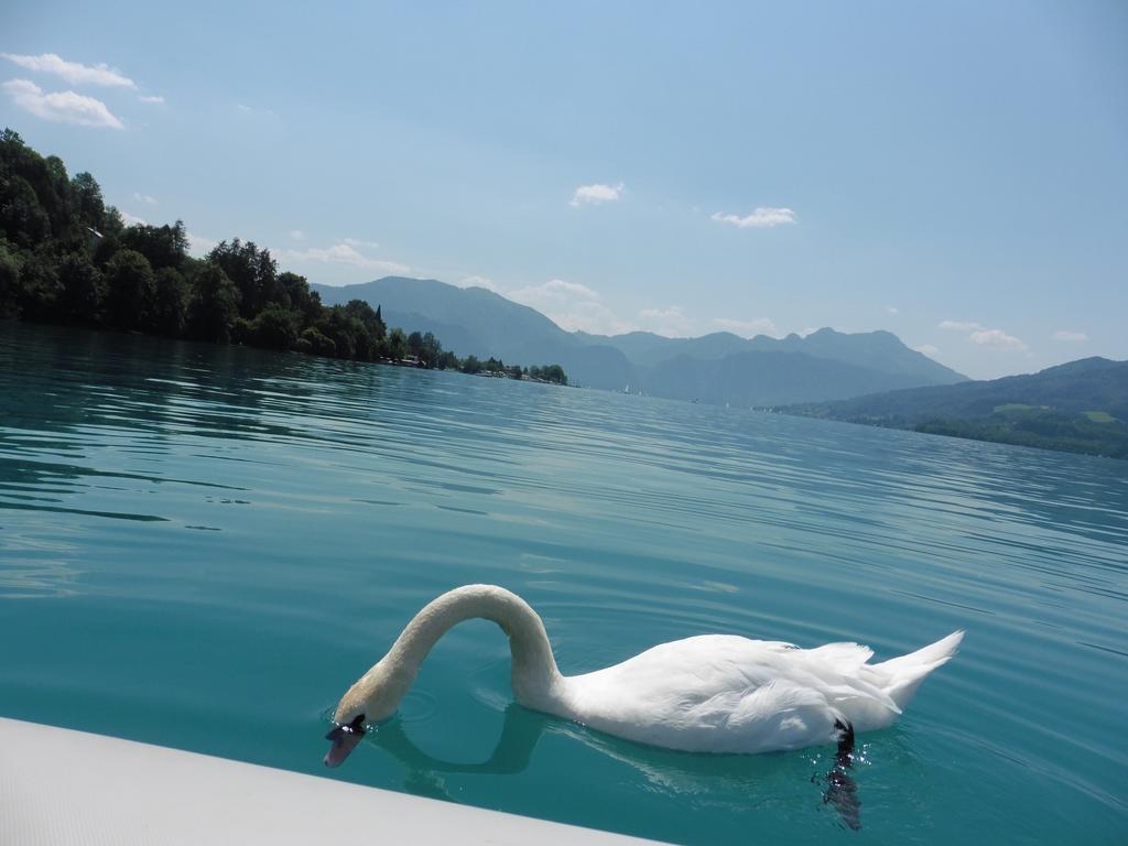 Ferien Im Haus Helga In Steinbach Am Attersee Exterior foto