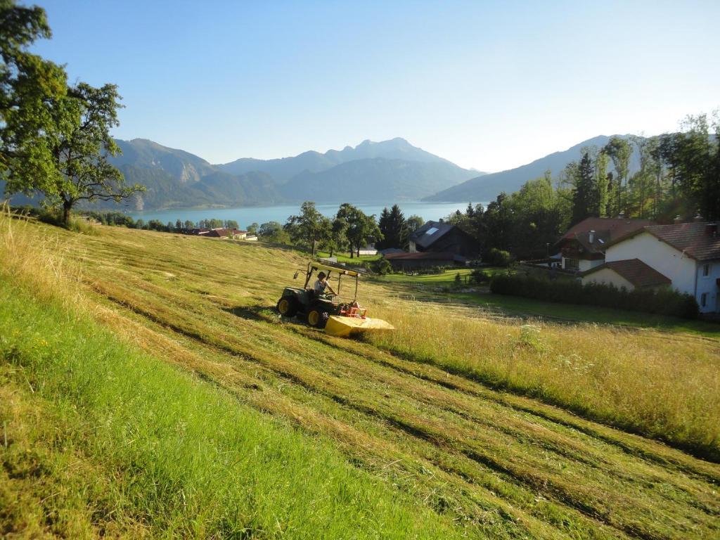Ferien Im Haus Helga In Steinbach Am Attersee Exterior foto